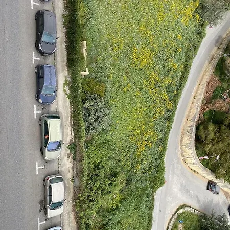 No.48 * Msida
